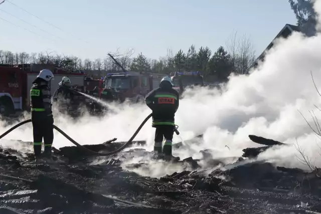 Strażacy najczęściej biorą udział w gaszeniu ognia, ale są wzywani także do wypadków drogowych i usuwania zagrożeń.