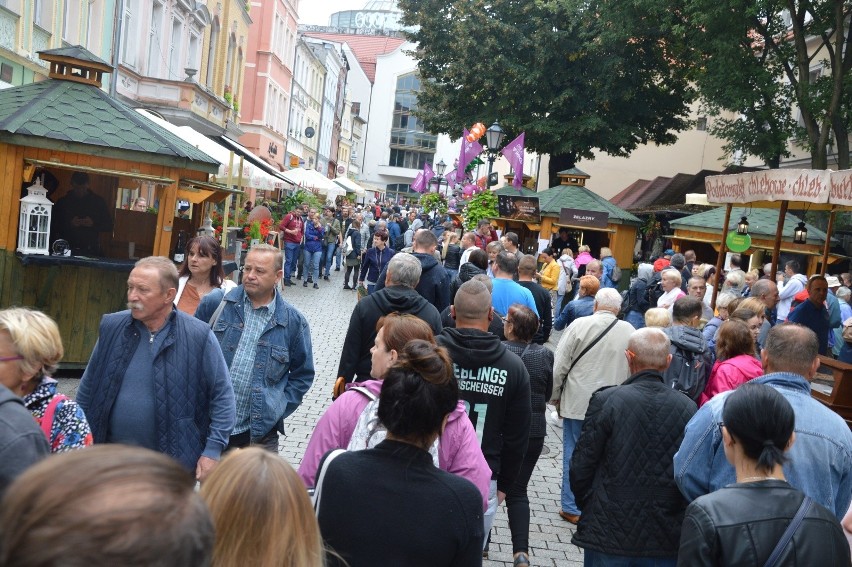 Nie wszystkim mieszkańcom Zielonej Góry odpowiada...