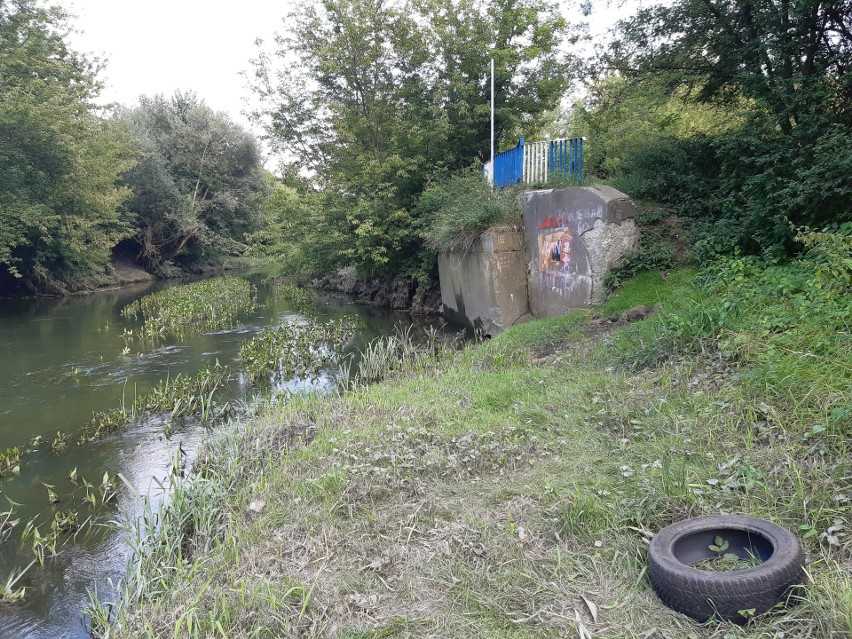 Wolontariusze będą sprzątać Bystrzycę z kajaków. Wszystko w ramach międzynarodowej kampanii „Dzień Sprzątania Świata”