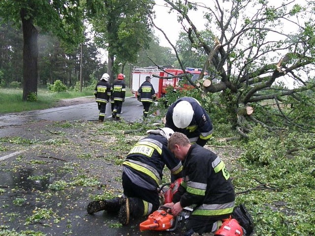 Strażacy szybko usunęli drzewo z jezdni, tak by "berlinka" była przejezdna