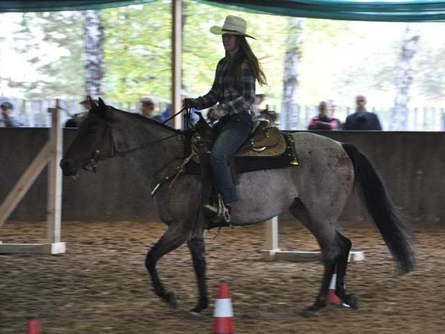 Aleksandra Jeziorska ze Skarżyska na koniu BH Lady HI FI triumfowała w Małej Lidze Jeździeckiej w Mroczkowie.