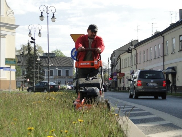 Na radomskich ulicach rozpoczęło się wiosenne koszenie trawników. We wtorek pracowników Zakładu Usług Komunalnych, strzygących zieleńce, można było spotkać między innymi na placu Kazimierza Wielkiego.