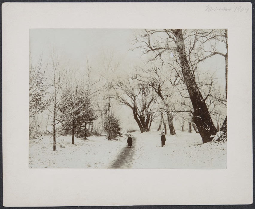 Kępa Bazarowa zimą. Zdjęcie z przełomu 1906 i 1907 roku.