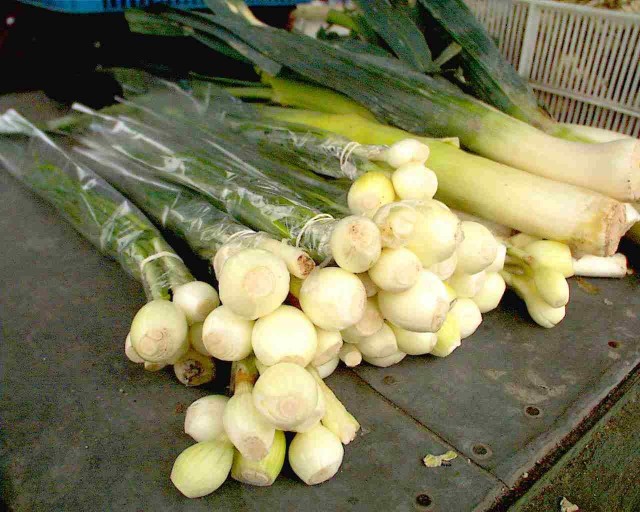 Warzywa z Pobłocia mają trafiać do hipermarketów w Europie Zachodniej.