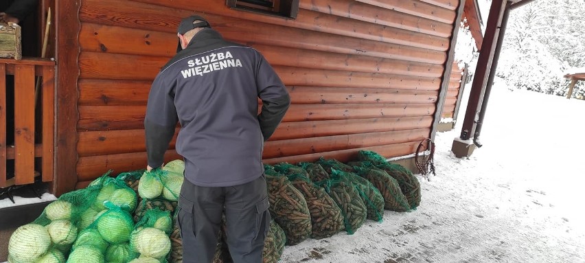 Służba więzienna w Puszczy Białowieskiej. Nikogo nie zatrzymano, ale zwierzęta miały ucztę (zdjęcia)