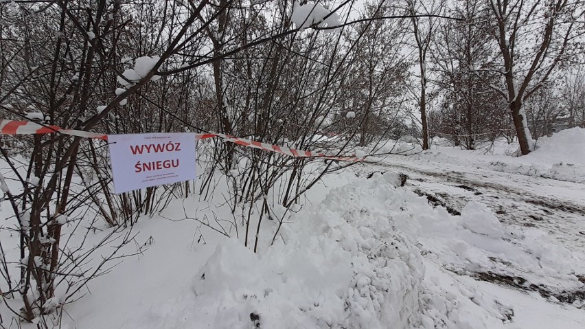 Białystok. Zimowe oczyszczanie miasta. Gdzie wywożony jest śnieg?