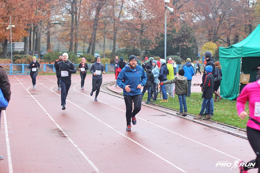 Bieg z Wąsem 2016, Wrocław