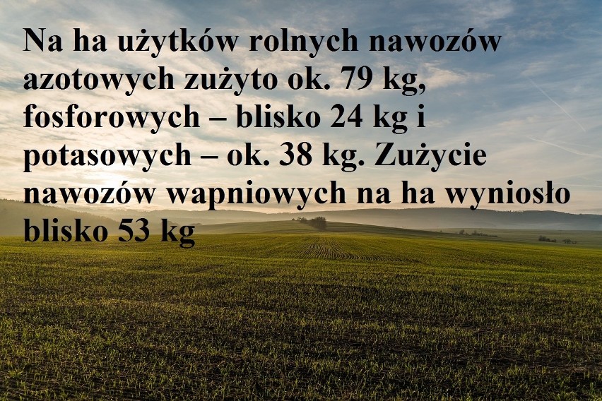 Ceny skupu mleka wyższe o jedną czwartą. Podsumowanie 2017 [zdjęcia]