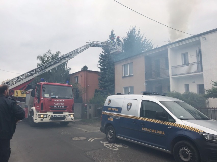 Smog w Poznaniu: Strażnicy rozpoczęli kontrole