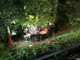 Wypadek w Jabłonicy Polskiej. BWM wypadło z drogi i uderzyło w drzewo. Zginęli kierowca i pasażer