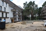 Park Sosnowy w Kielcach na ukończeniu. Zobacz jak wygląda ten wyjątkowy projekt [ZDJĘCIA]