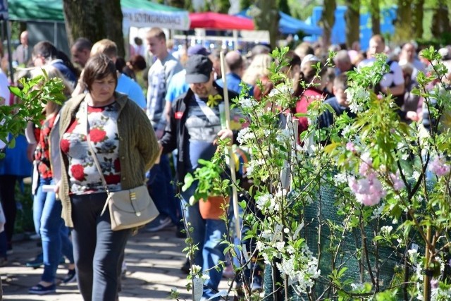 To jedna z trzech imprez organizowanych przez ośrodek PODR w Starym Polu.