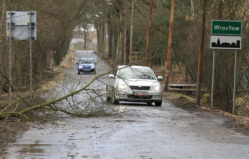 Biuro Prognoz Meteorologicznych we Wrocławiu wydało...