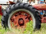 Przytuły. Pijany rolnik wpadł na gorącym uczynku. Kierował ciągnikiem mają w organizmie 2,6 promila alkoholu