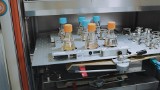 Szczepionka na koronawirusa z Konstantynowa Łódzkiego już prawie gotowa! Mabion kończy serię testową preparatu Novavax