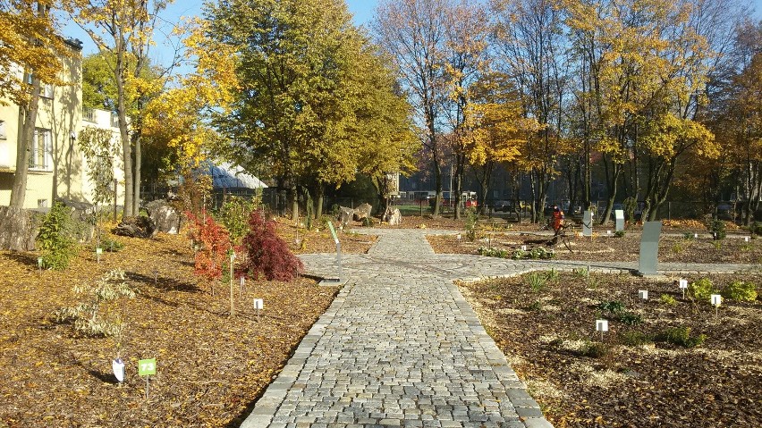 Bytom: Miniarboretum - egzotyczny ogród przy parku miejskim