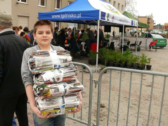 Tak było przed rokiem, w tym roku będzie nawet więcej sadzonek.