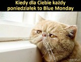 Memy o Blue Monday 2024 na poprawę nastroju. To najbardziej depresyjny dzień w roku