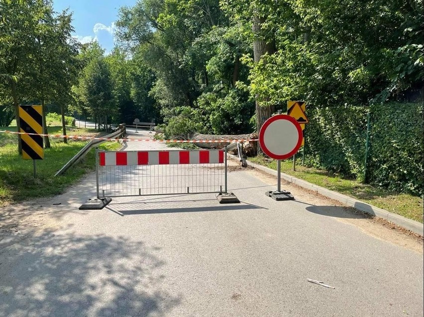 Na drewniany most w Lisowicach przewróciło się drzewo. Przejazd jest zablokowany