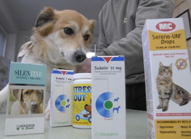 W lecznicach weterynaryjnych można kupić tabletki uspokajające dla psów. 