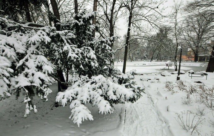 Park Kazimierza Wielkiego w zimowej scenerii