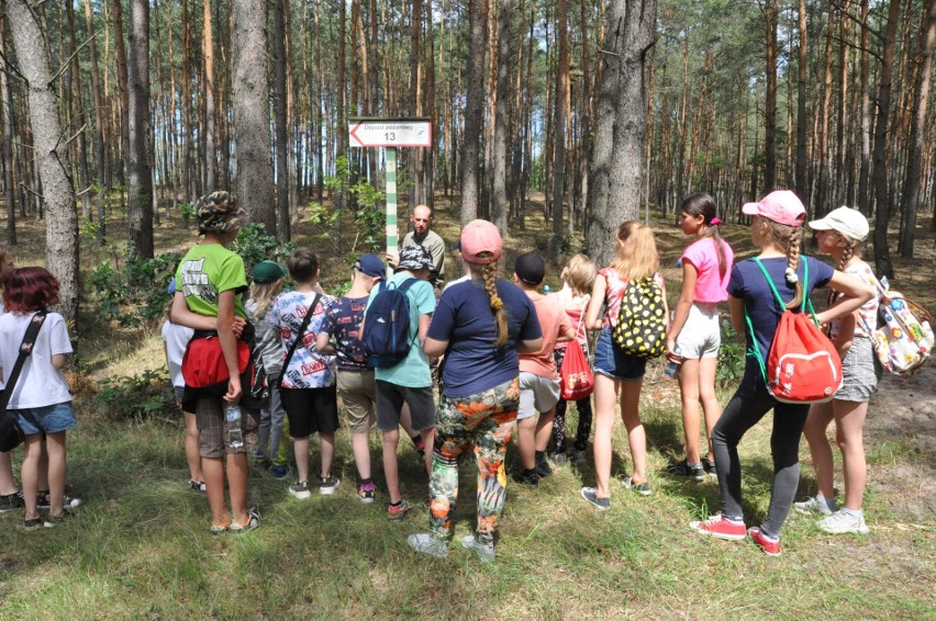 Miejskie Centrum Kulturalne w Lipnie zadbało o dzieci, które...