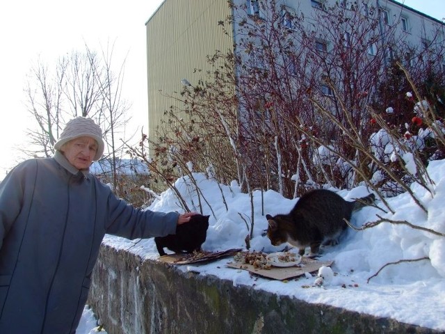 Maria Rzońca uważa, że bezdomnym kotom trzeba pomagać.