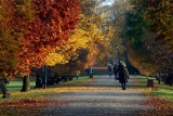 Powrót polskiej złotej jesieni. Weekend w Słupsku i regionie będzie ciepły i przyjemny