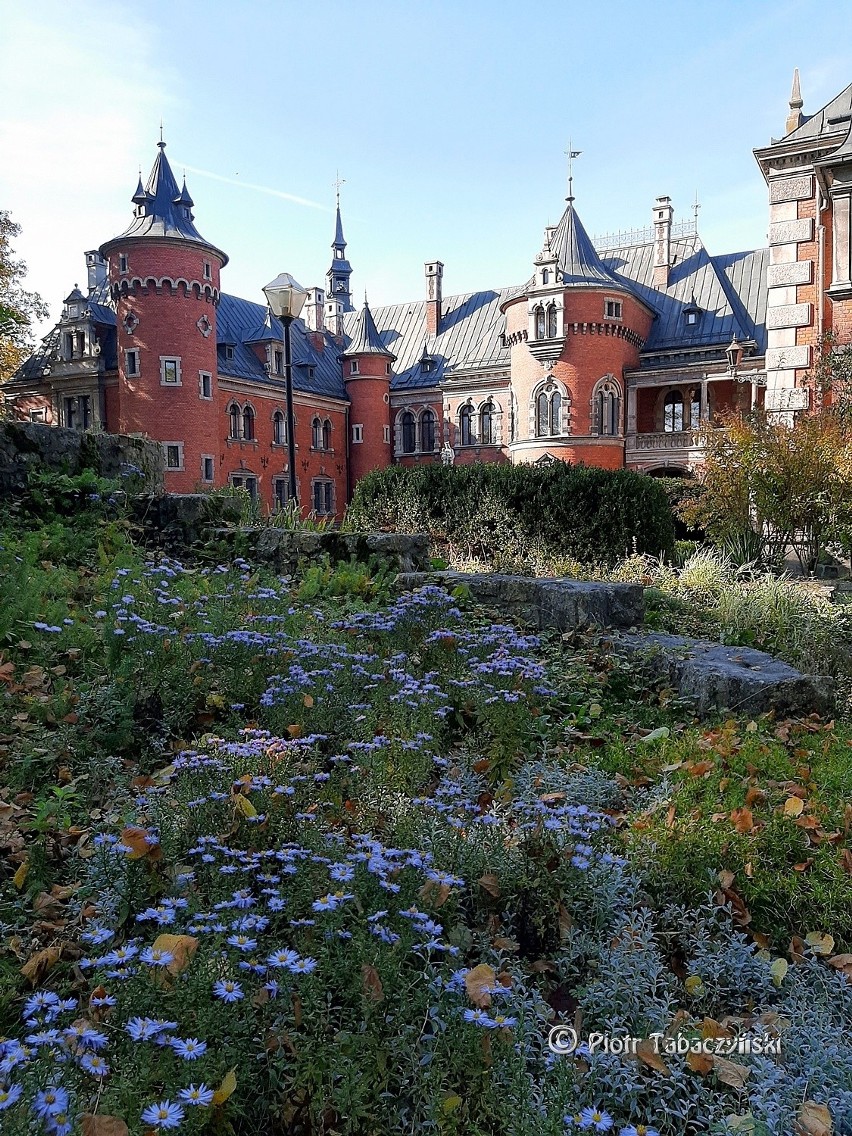 Pałac, piękny park i fontanna przyciągają do Pławniowic co...