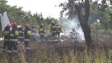 Mieszkaniec Podkarpacia zginął  w katastrofie samolotu w Topolowie