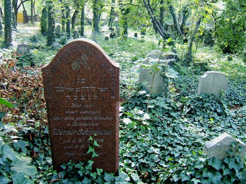Zwiedzanie cmentarza żydowskiego w Zabrzu i kwesta