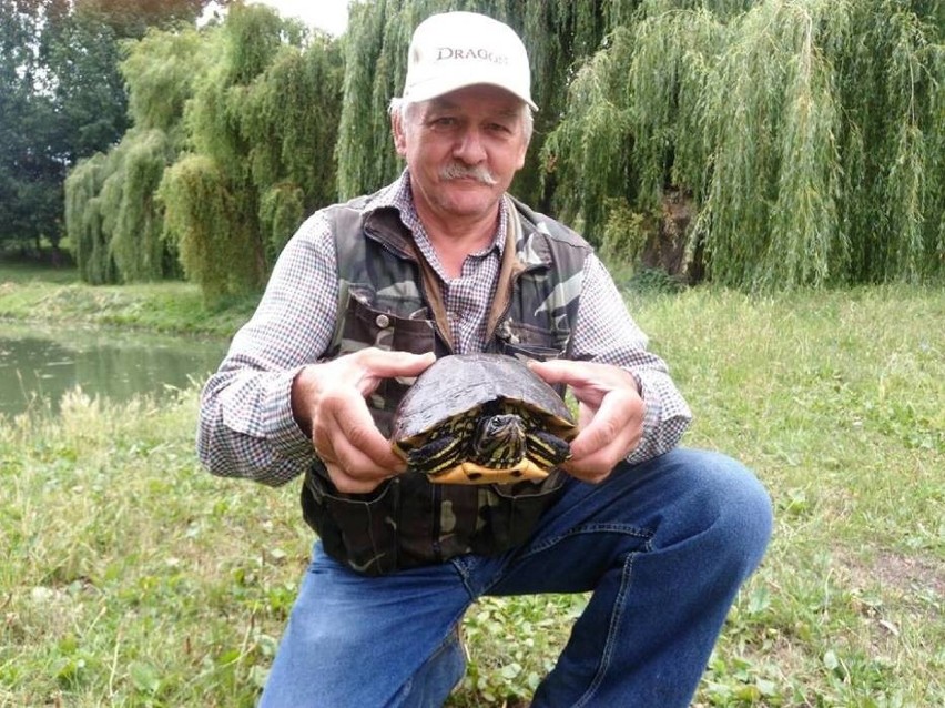 Pan Andrzej wpuścił żółwia z powrotem do rzeki.