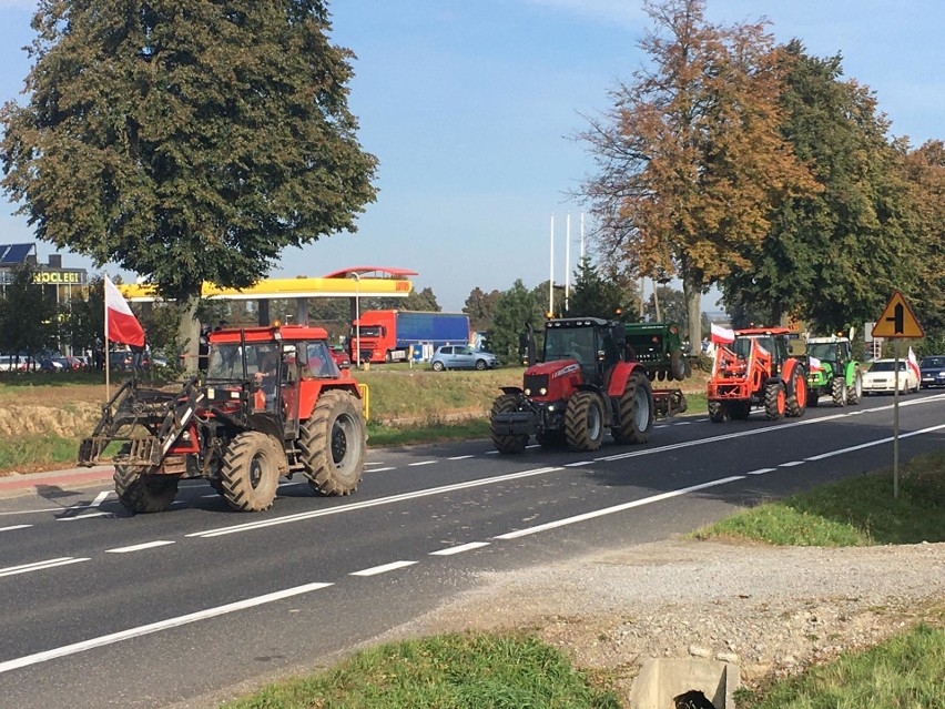 Protest rolników koło Opatowa. Traktory na trasie [ZDJĘCIA]