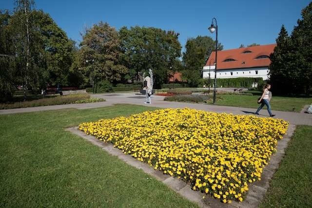 Zielona brama gotyckiej starówki zakłada zagospodarowanie skweru przy muzeum oraz okolic Jordanek