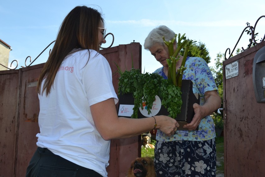 Koszyk dla seniora - mieszkańcy powiatu już dostali warzywa i owoce. "Koalicja dla Młodych" dalej organizuje pomoc dla potrzebujących