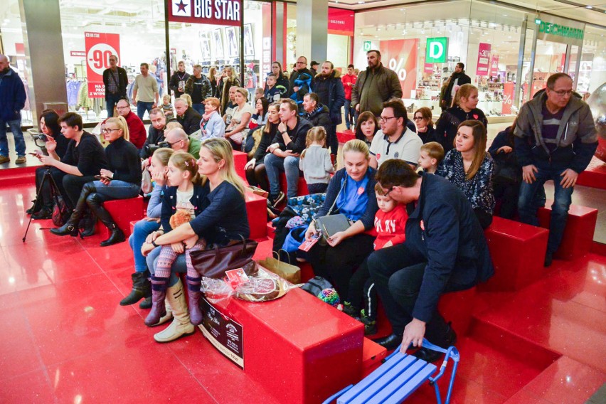 27. Finał WOŚP w Kielcach. Licytacje, pokazy w całym mieście [RAPORT NA BIEŻĄCO]