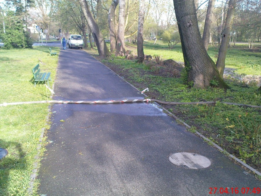 Jeden z poznaniaków uważa, że w Parku Wodziczki doszło do...