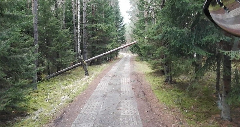 Silne wiatry nad powiatem białogardzkim [zdjęcia]