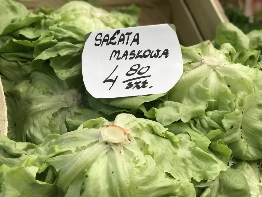 Ceny nowalijek w Słupsku. Zobacz po ile są warzywa w mieście [ZDJĘCIA]