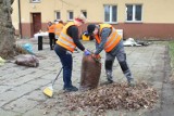 Wielkie sprzątanie z koszalińską Pracownią Pozarządową [ZDJĘCIA]