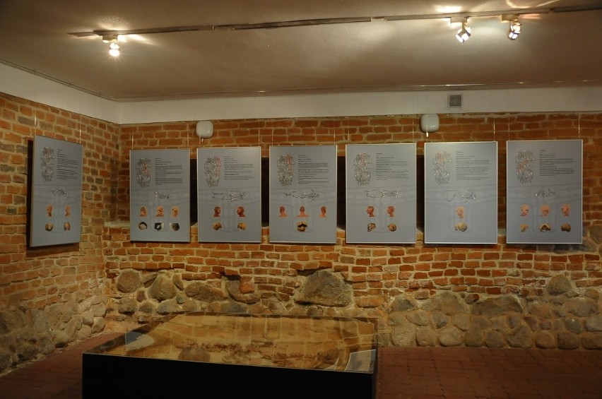 Wystawa "Rytuał i przemoc w neolicie" w Muzeum imienia Malczewskiego w Radomiu
