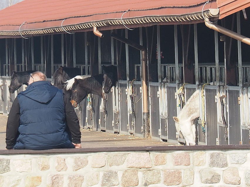 Przyczyną decyzji inspektorów sanitarnych były zagrożenia...