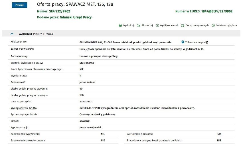 Praca w Gdańsku. Kogo szukają pracodawcy i ile płacą? Sprawdź najnowsze oferty pracy w gdańskim urzędzie pracy