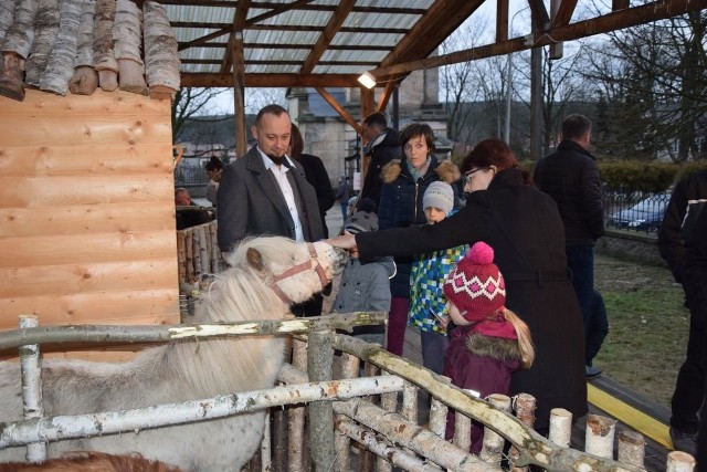 Szopka w Suchedniowie cieszy się dużym zainteresowaniem - nie tylko dzieci