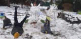 Zdjęcia czytelników. Zabawy na śniegu, dzieci mają radość (ZDJĘCIA)