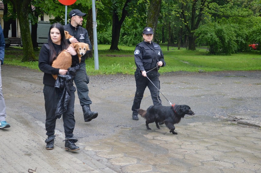 Wojnicz. Uwolnili więzione czworonogi