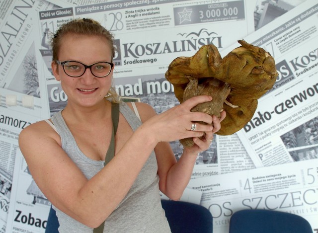 Sezon na grzybobranie już się rozpoczął, dlatego w świdwińskim sanepidzie w każdy wtorek i piątek w godz. 8-10 można będzie pokazać zebrane runo leśne grzyboznawcy, który sprawdzi, czy aby na pewno wszystkie okazy można bezpiecznie zjeść.