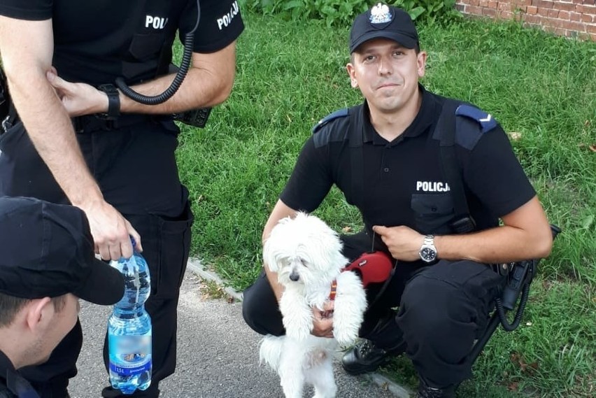 Policjanci z uratowanym psem
