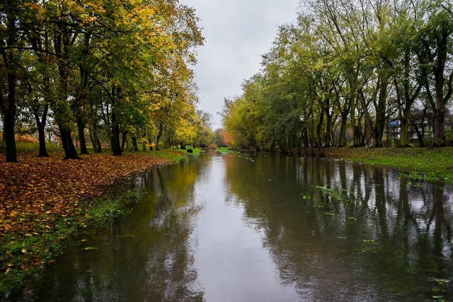 Bogdanka w Poznaniu po obfitych opadach deszczu