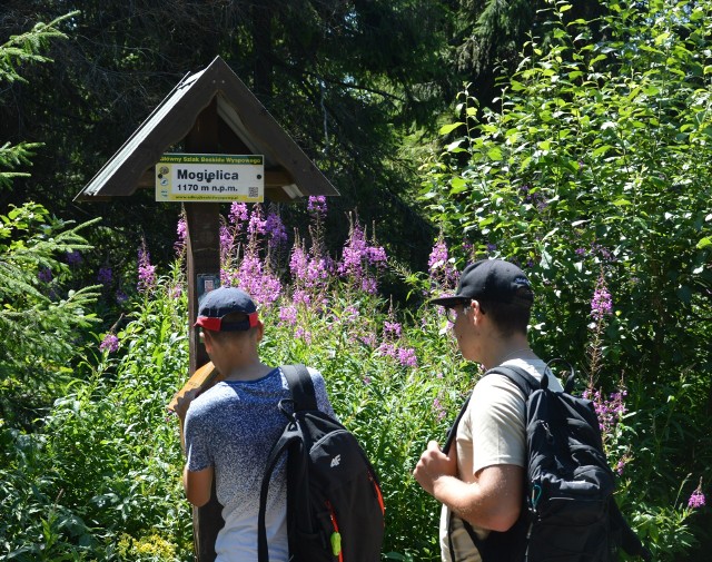 Oznaczenie trasy na Mogielicę od strony przełęczy Rydza-Śmigłego niby jest, ale zdaniem turystów mogłoby zostać nieco poprawione